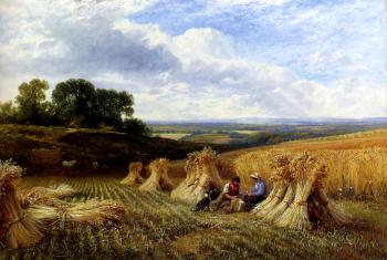 Snr George Cole : Harvest Field